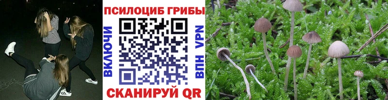 Купить  Лиски  Псилоцибиновые грибы Magic Shrooms 